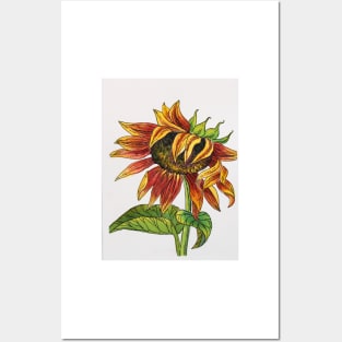 Sunflower Watercolor Painting Posters and Art